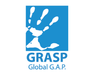 grasp2 Mint, hierbabuena, menta, plantas aromaticas